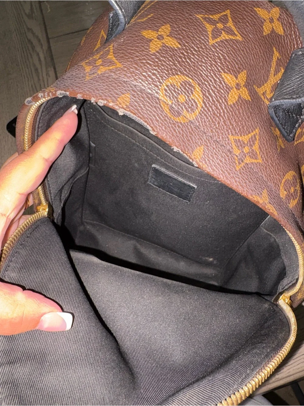 Louis Vuitton Palm Springs Backpack - Picture 9 of 13